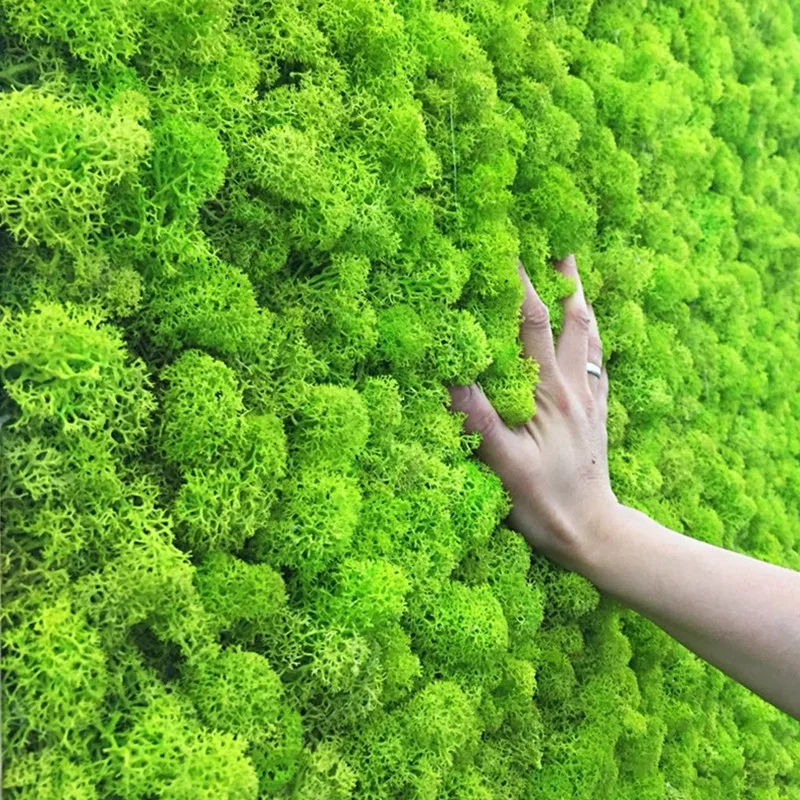 20g plante Artificiale viața veșnică moss / Garden home decor perete DIY Floare material Mini Grădină Micro Peisaj Accesorii